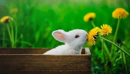 各地装扮一新喜迎国庆中秋