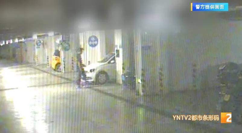 凌晨怪事！男子提着茅台袋子在车库，翻垃圾桶竟为了.....