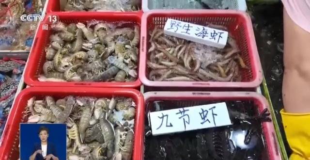 开渔时节首批海鱼虾蟹上岸 市民游客岸边等船抢“鲜”一步