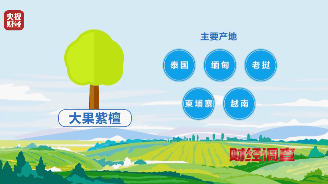 揭秘红木市场乱象：鉴定证书按斤卖一张0.8元，同款床报价差2.7万