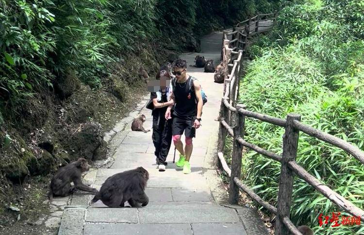 揭秘峨眉山陪爬团队：已陪爬千名游客九成为女性，不会主动拉背扛抱，主要保障安全