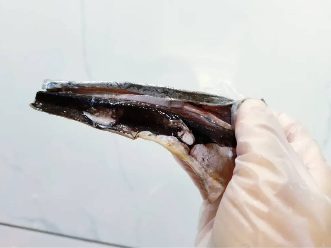 这种“国民廉价鱼”，一直被低估！其实营养价值超高