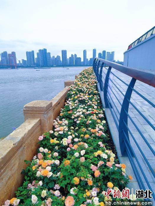 武昌湾1956公园“十一”正式开放