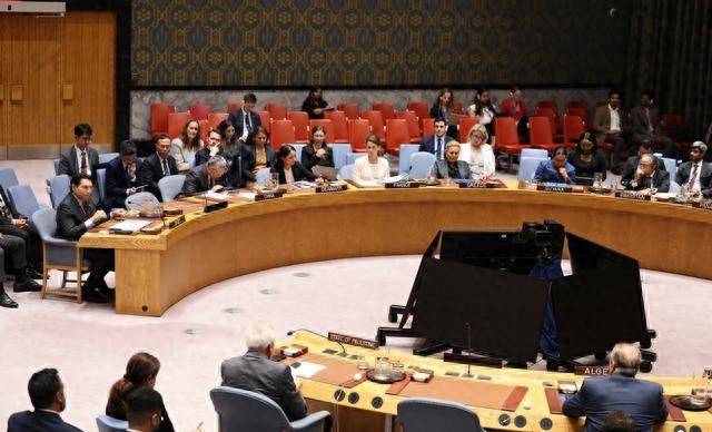 芬兰首提撤销否决权,五常变十常?芬兰总统发声,美方用六字回应