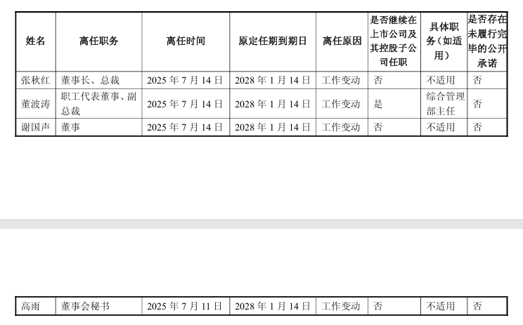 “包袱”甩给立讯精密,闻泰科技成功上岸?