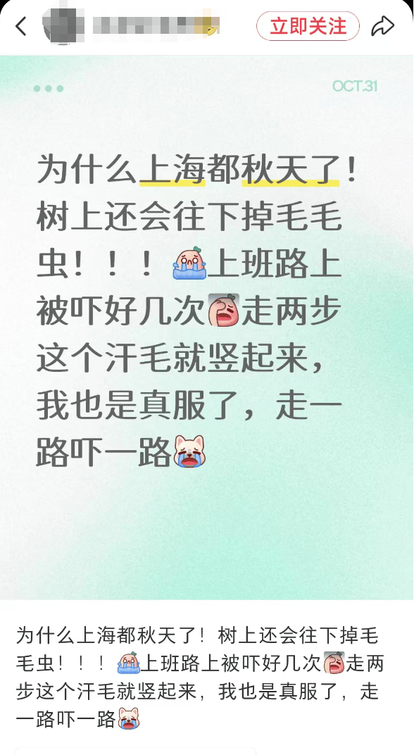 汽车被虫子啃得都是窟窿，“一边咬一边往里钻”！很多人中招