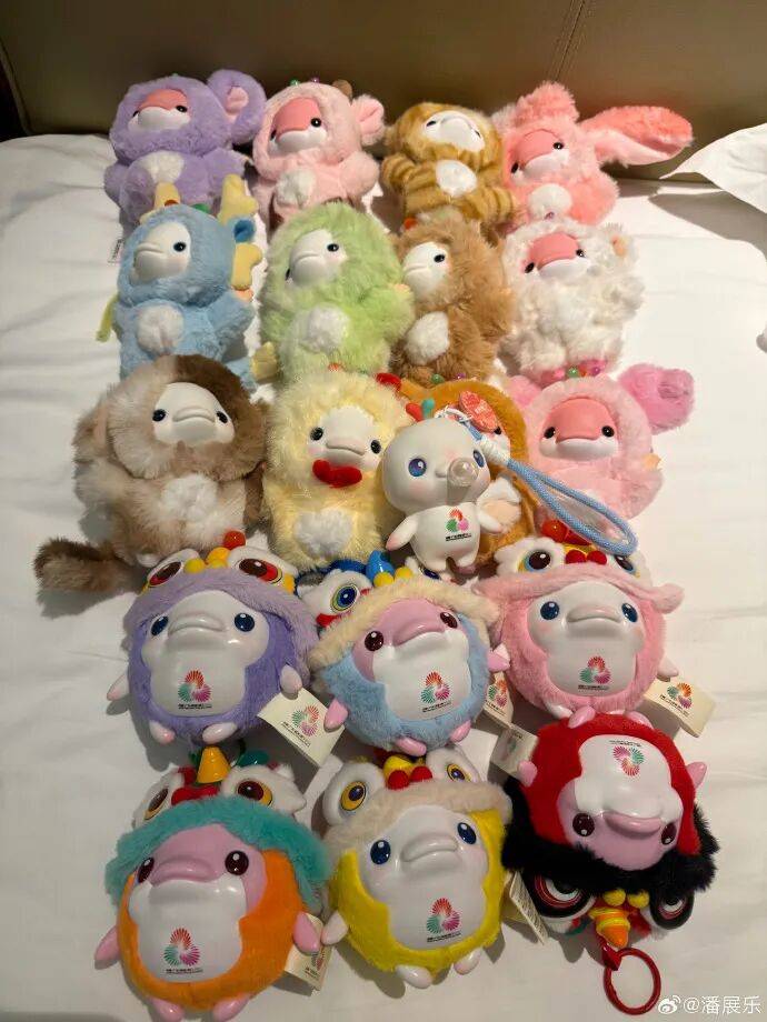 潘展乐晒“一大床大湾鸡”,身穿彩色小衣服萌态十足