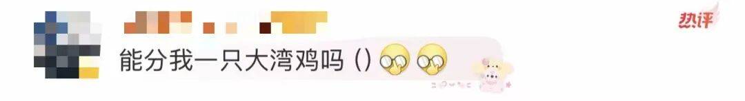 潘展乐晒“一大床大湾鸡”,身穿彩色小衣服萌态十足