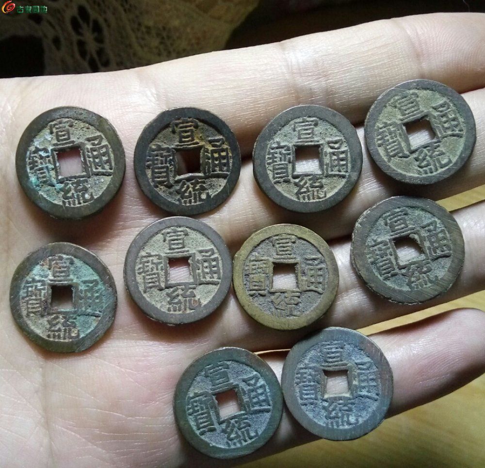 舍币(舍币于祢)